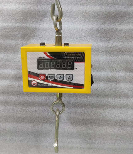 200 Kg Hanging Scale