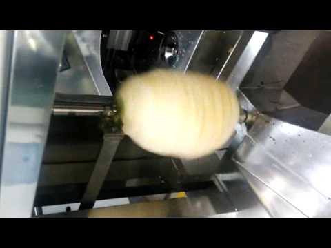 Jackfruit processing Machine