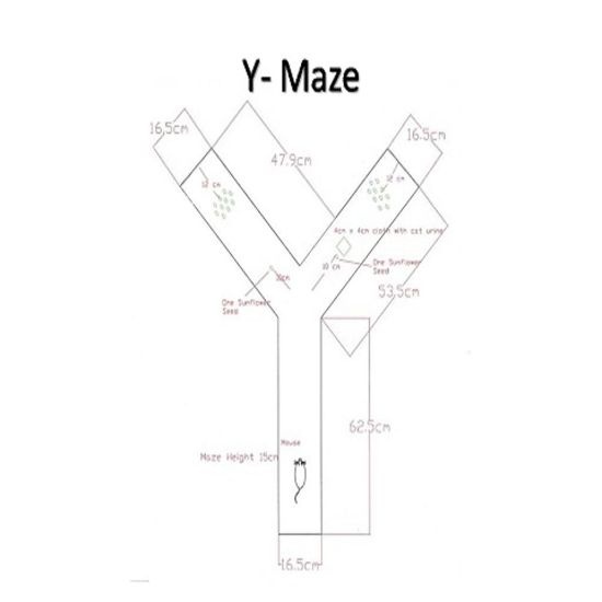 Y Maze Apparatus for Rats & Mice