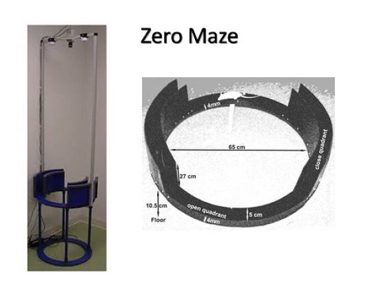 Zero Maze For Rats and Mice