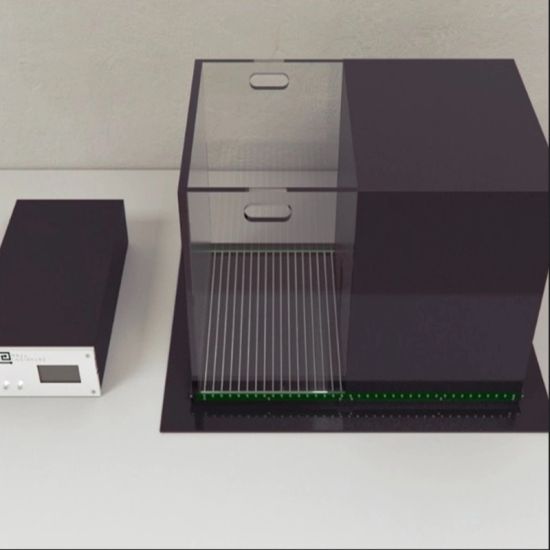 LIGHT AND DARK TEST APPARATUS