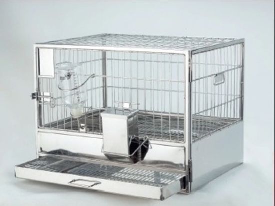 Rabbit Cage