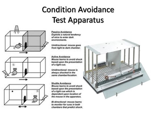 Condition Avoidance Test Apparatus