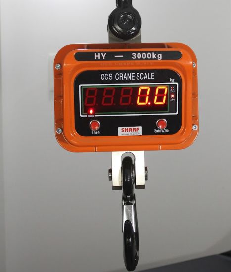 Hanging Crane Scale