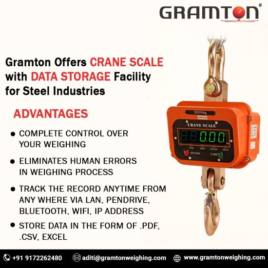 Crane Scale Upto 100 Ton