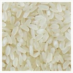 Non Basmati Rice