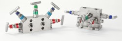 MANIFOLD VALVES