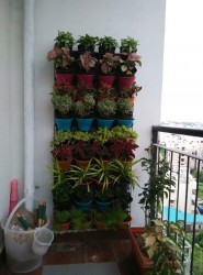 Wall garden