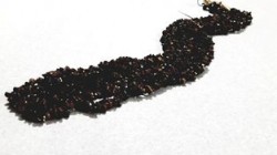 Labrodorite Bunch Necklace ( Brown )