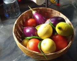 Vegetable Basket