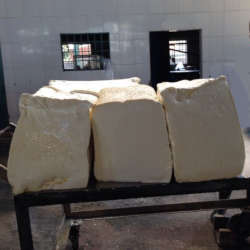 BDS Polychem